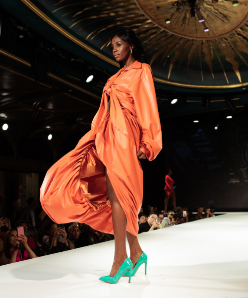 fashionista_500x600